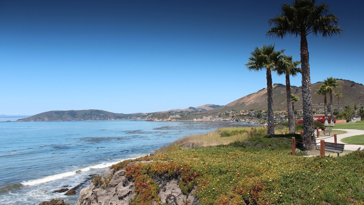 Best Restaurants in Pismo Beach With a View