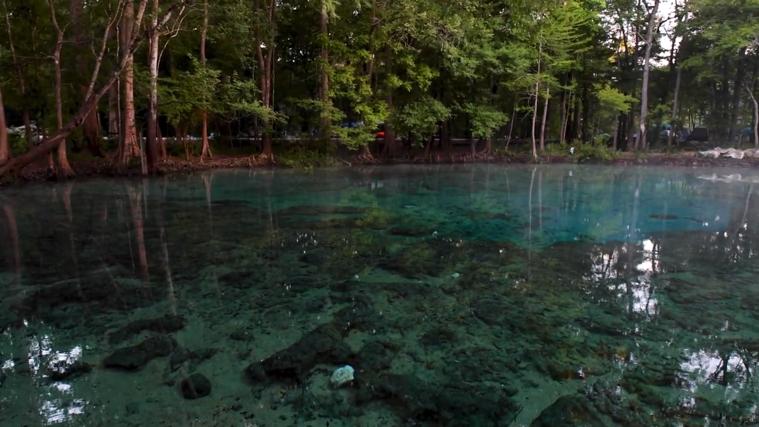 Ginnie Springs Camping Is It Really Worth the Hype?