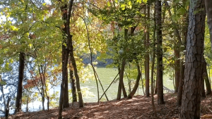 Top 10 Things to Do at Lake Norman State Park North Carolina