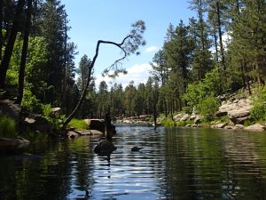 Things to Do in Payson Az This Weekend